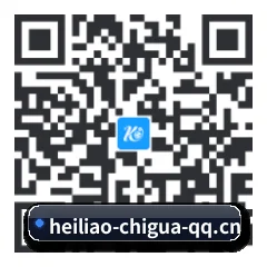 安卓极速冲浪端 二维码